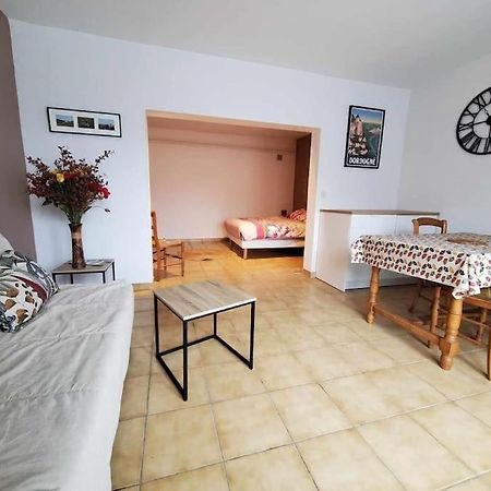 Studio Au Pied Du Chateau De Castelnaud エクステリア 写真